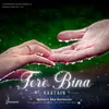 About Tere Bina Raatain Song